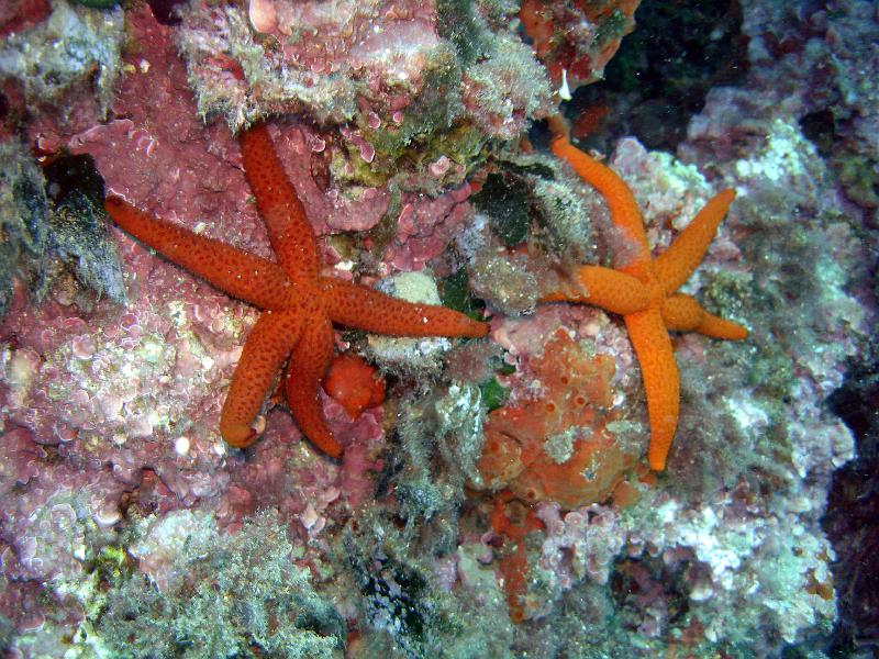 2010-09-12 13-44-13 Steven.JPG